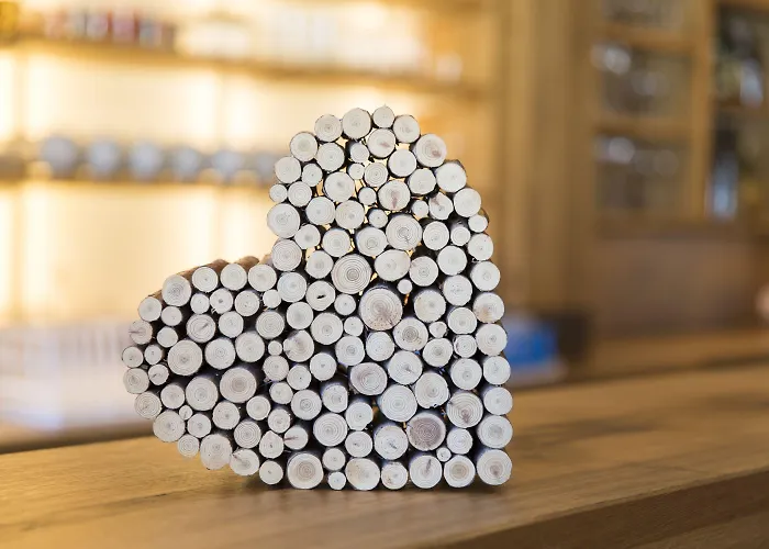 Hotel Schoenegg Seefeld in Tirol