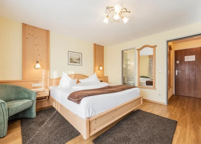 酒店 舍内格酒店 3*